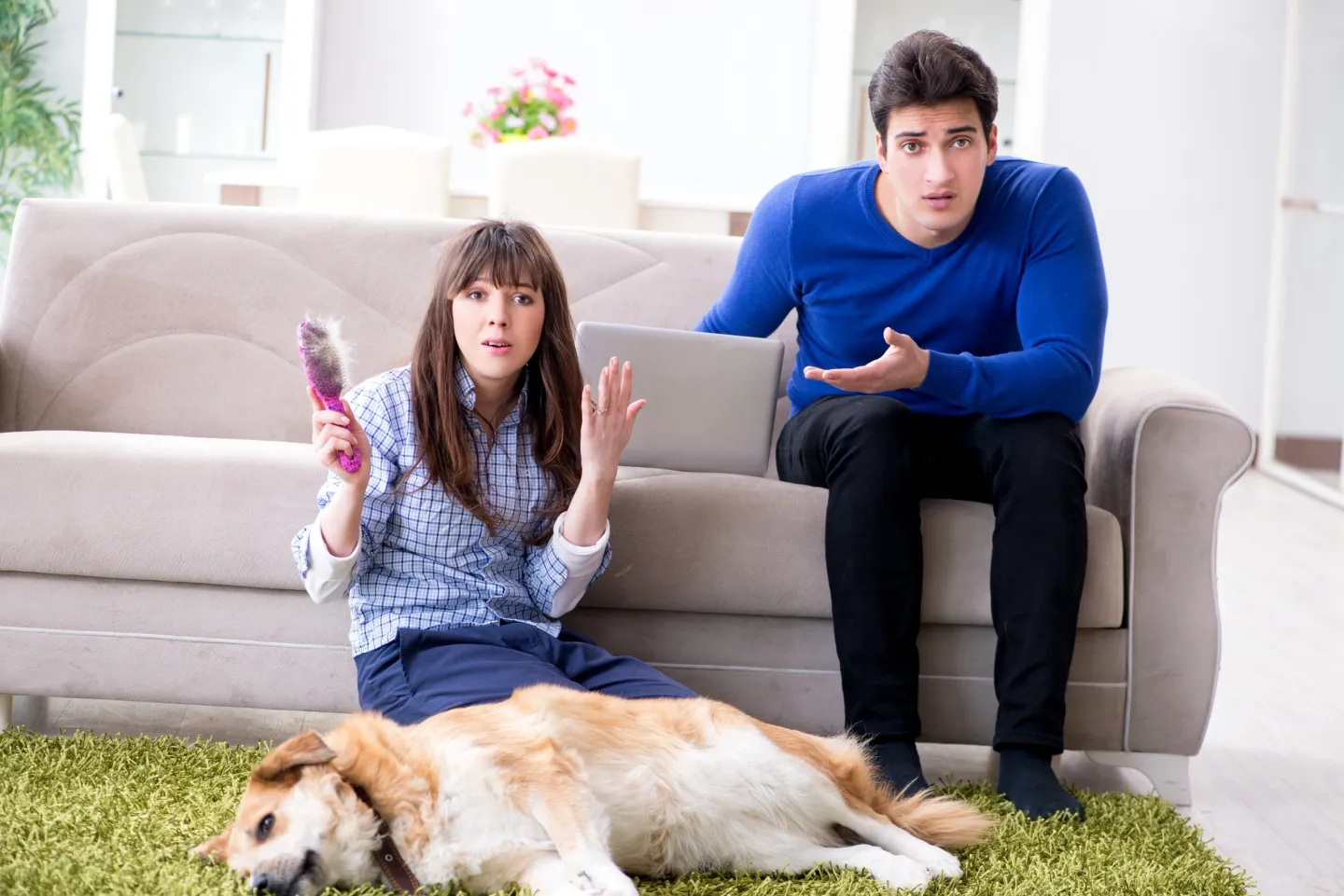 Two People Pet Grooming